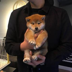 r34荒野乱斗奖励网站入口
